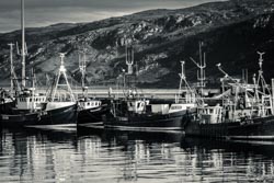 Foto tirada por Paulo Bittencourt, livre-pensador, humanista e ateísta