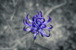 Foto tirada por Paulo Bittencourt, livre-pensador, humanista e ateísta