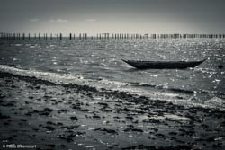 Foto tirada por Paulo Bittencourt, livre-pensador, humanista e ateísta