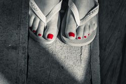 Foto tirada por Paulo Bittencourt, livre-pensador, humanista e ateísta