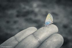 Foto tirada por Paulo Bittencourt, livre-pensador, humanista e ateísta