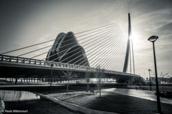 Foto tirada por Paulo Bittencourt, livre-pensador, humanista e ateísta