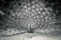 Foto tirada por Paulo Bittencourt, livre-pensador, humanista e ateísta