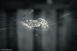 Foto tirada por Paulo Bittencourt, livre-pensador, humanista e ateísta