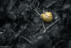 Foto tirada por Paulo Bittencourt, livre-pensador, humanista e ateísta